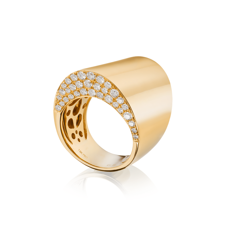 Armor Perspective Ring